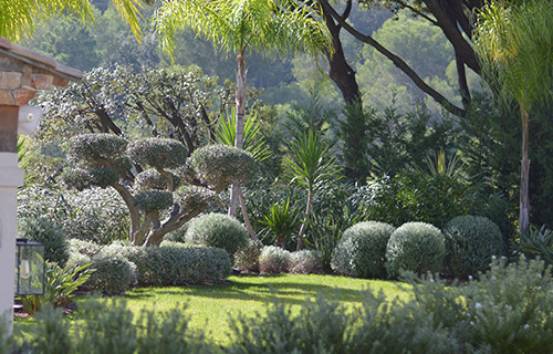 taille jardin grasse