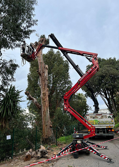 abattage arbre roquefort les pins grasse
